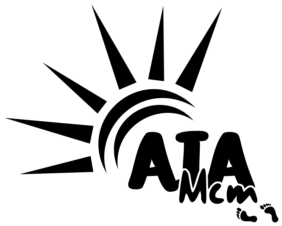 LOGO AIA ZA MAJICO(1) LOGO AIA ZA MAJICO(1)
